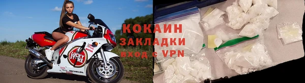 прущие грибы Покачи
