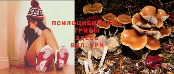 ГАЛЛЮЦИНОГЕННЫЕ ГРИБЫ Абдулино