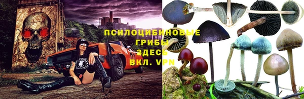 мдпв Абаза