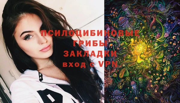 ГАЛЛЮЦИНОГЕННЫЕ ГРИБЫ Абдулино