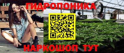 соль ск Пугачёв