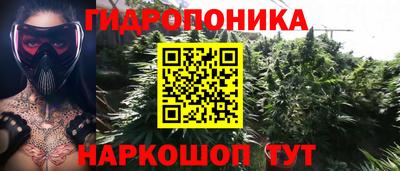 соль ск Пугачёв