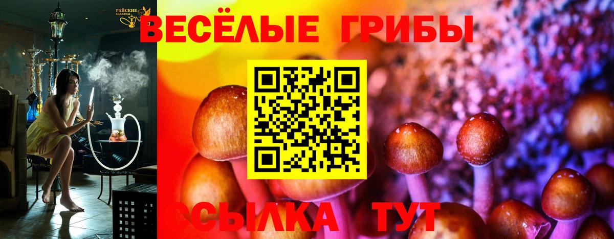 Саратов  Галлюциногенные грибы Magic Shrooms  Вход с VPN 