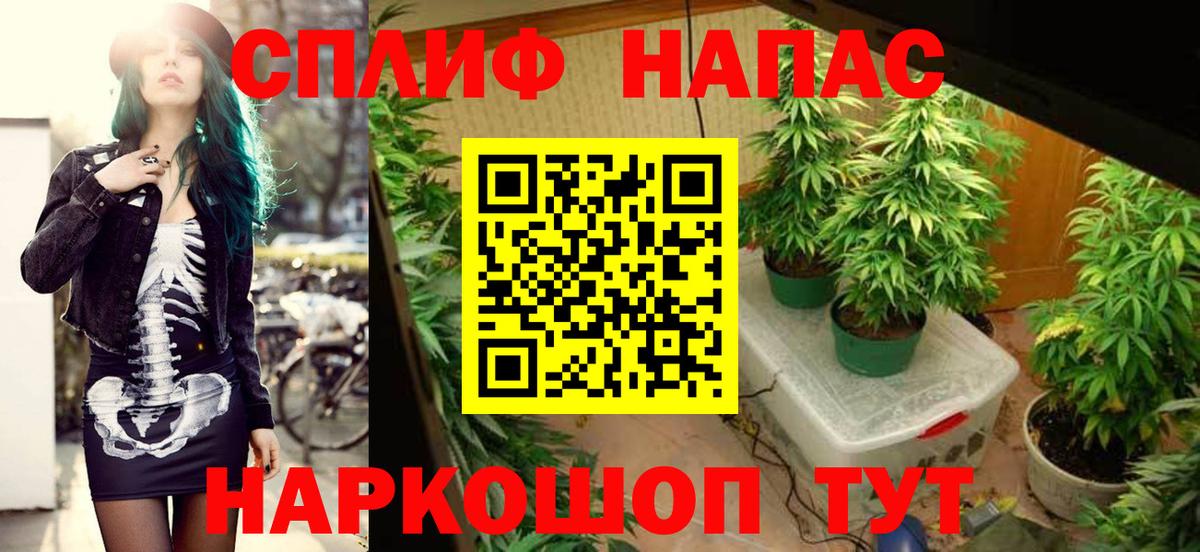 МАРИХУАНА марихуана  Шишки марихуана ГИДРОПОН  Саратов  Конопля конопля  Вход с VPN  Каннабис Bruce Banner 